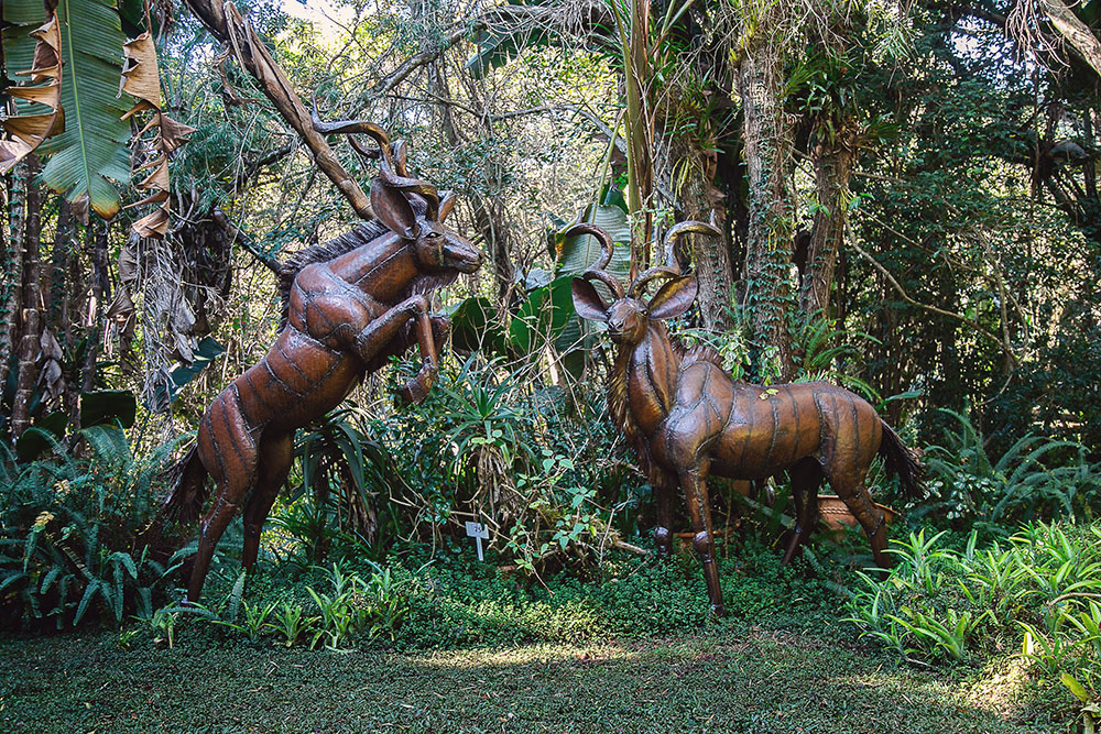 Ammazulu Gardens and Sculpture Precinct zulu art