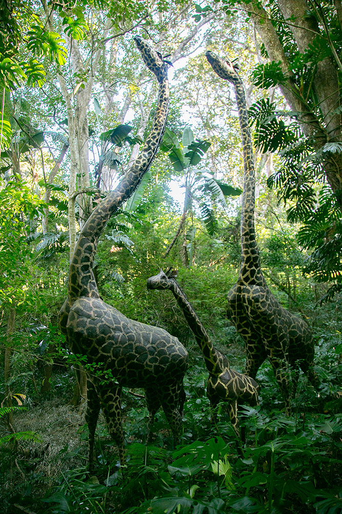 Ammazulu Gardens and Sculpture Precinct african wall art