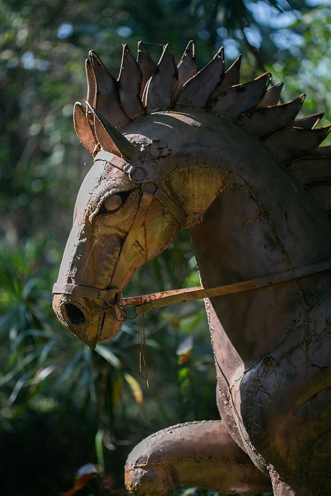 Ammazulu Gardens and Sculpture Precinct is in kloof durban