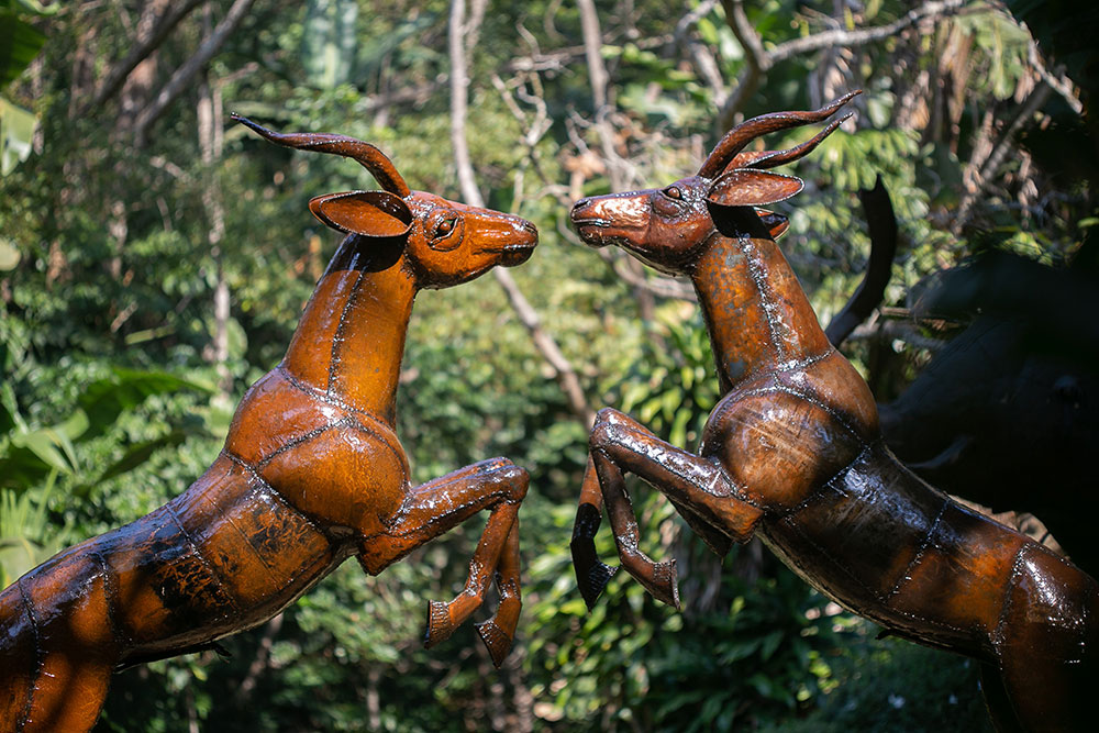 Ammazulu Gardens and Sculpture Precinct