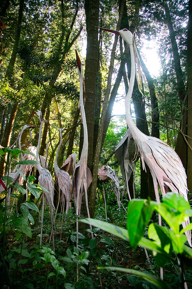 Ammazulu Gardens and Sculpture Precinct