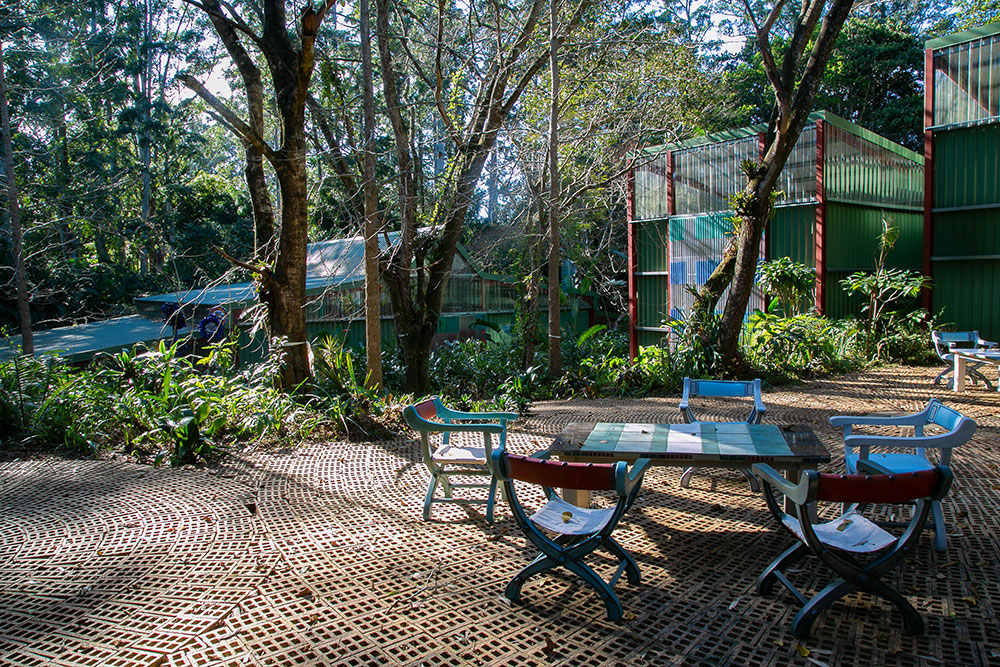 Ammazulu Gardens and Sculpture Precinct