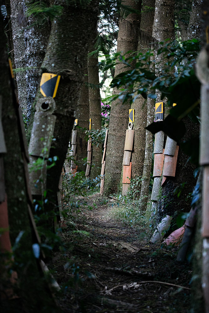 Ammazulu Gardens and Sculpture Precinct is in kloof durban